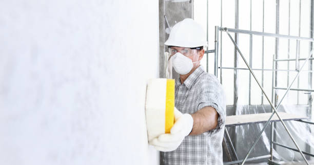 Best Commercial Mold Inspection  in Center Point, AL