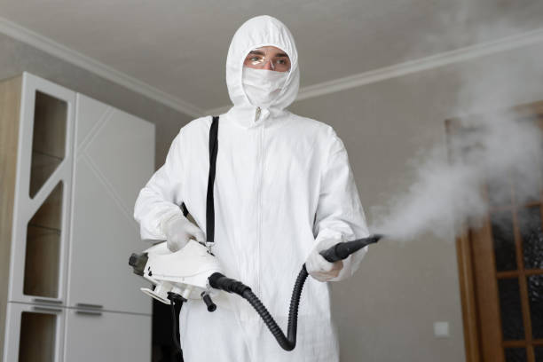 Why You Should Choose Our Mold Remediation Services in Center Point, AL